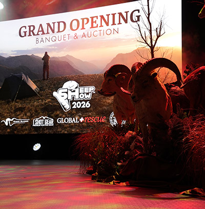 Sheep Show Grand Opening Stage